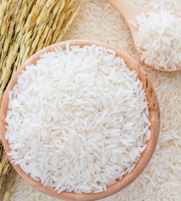 Rice Production