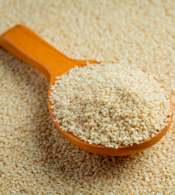 Sesame Production